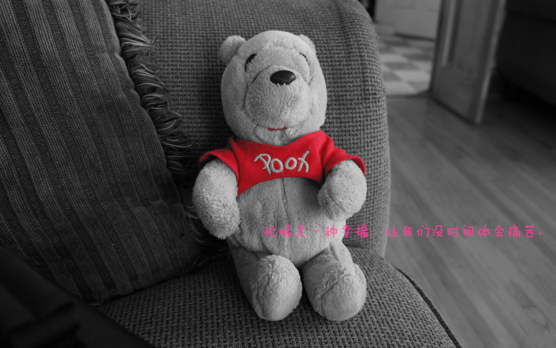 国际极限射箭大赛，精准的技术与心灵的较量，国际射箭比赛