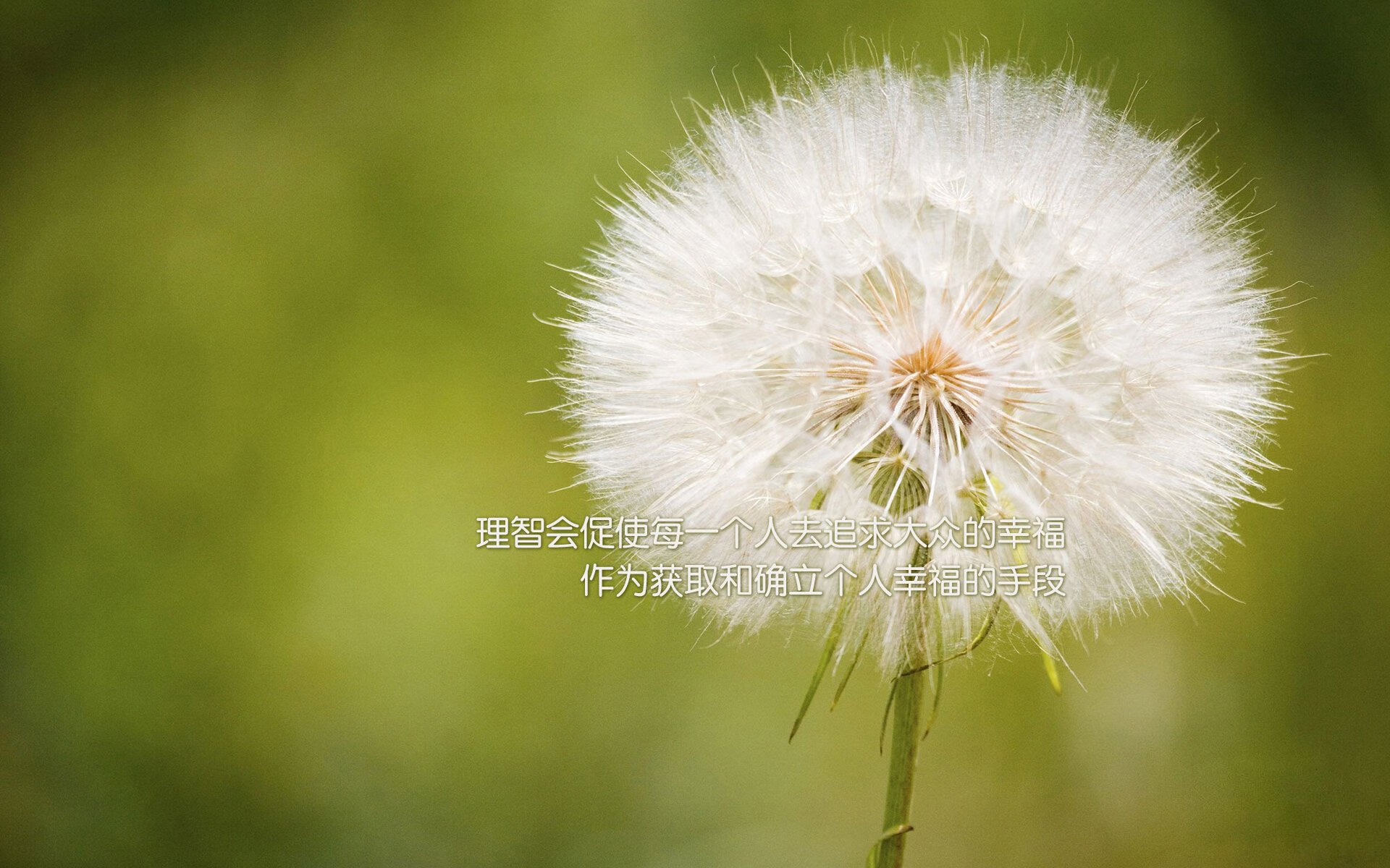 九游下载安装-“德甲最后冲刺，几支球队争夺冠军命运”，德甲最后几名降级