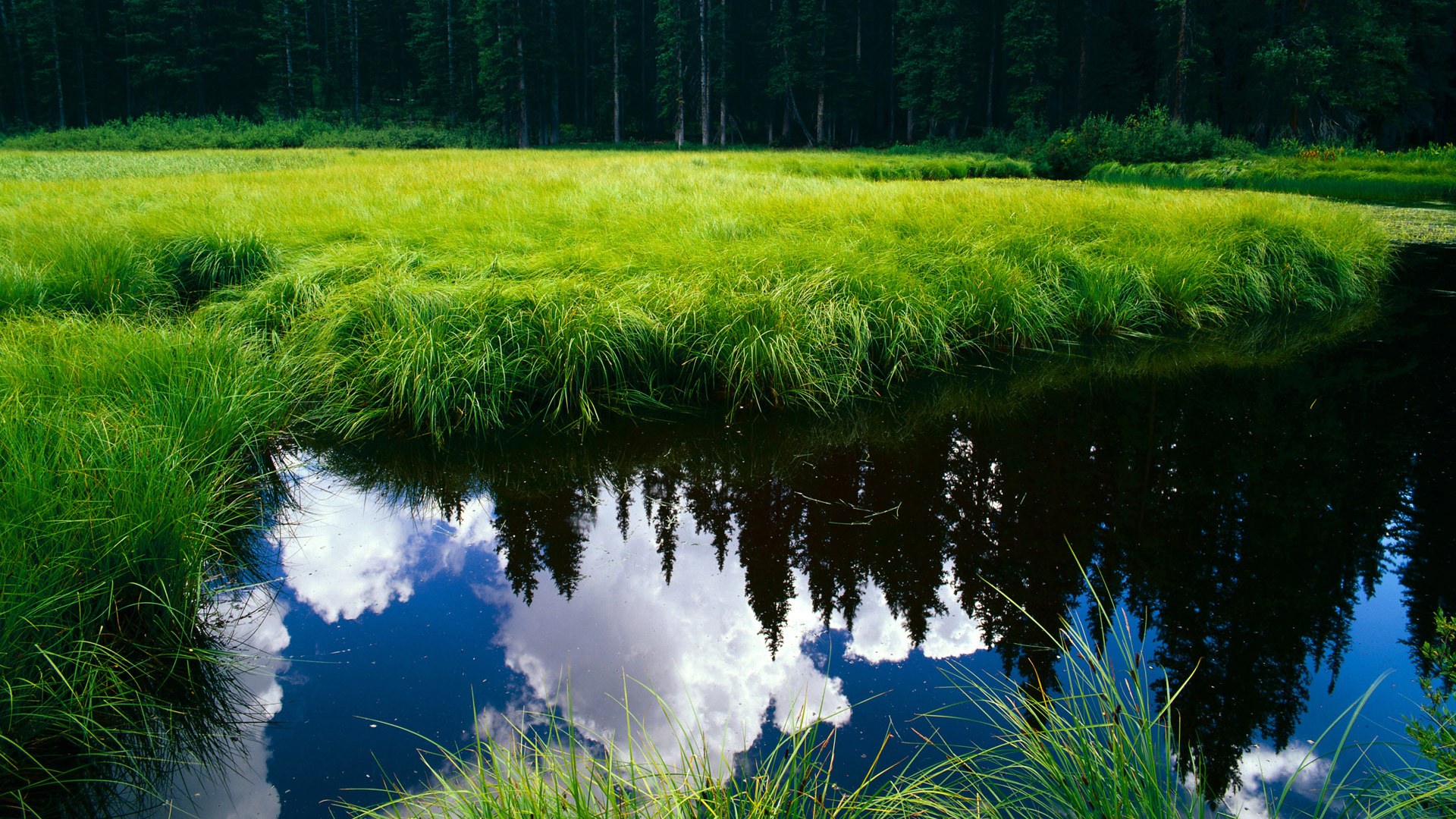 九游app官网下载-“意甲疯狂追分，争冠战火升腾”，意甲集锦2021