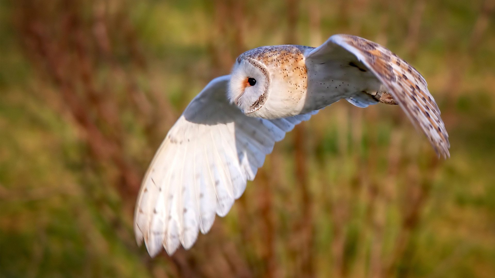 九游娱乐-“最佳突破：那些让人惊叹的单勇穿越线路”