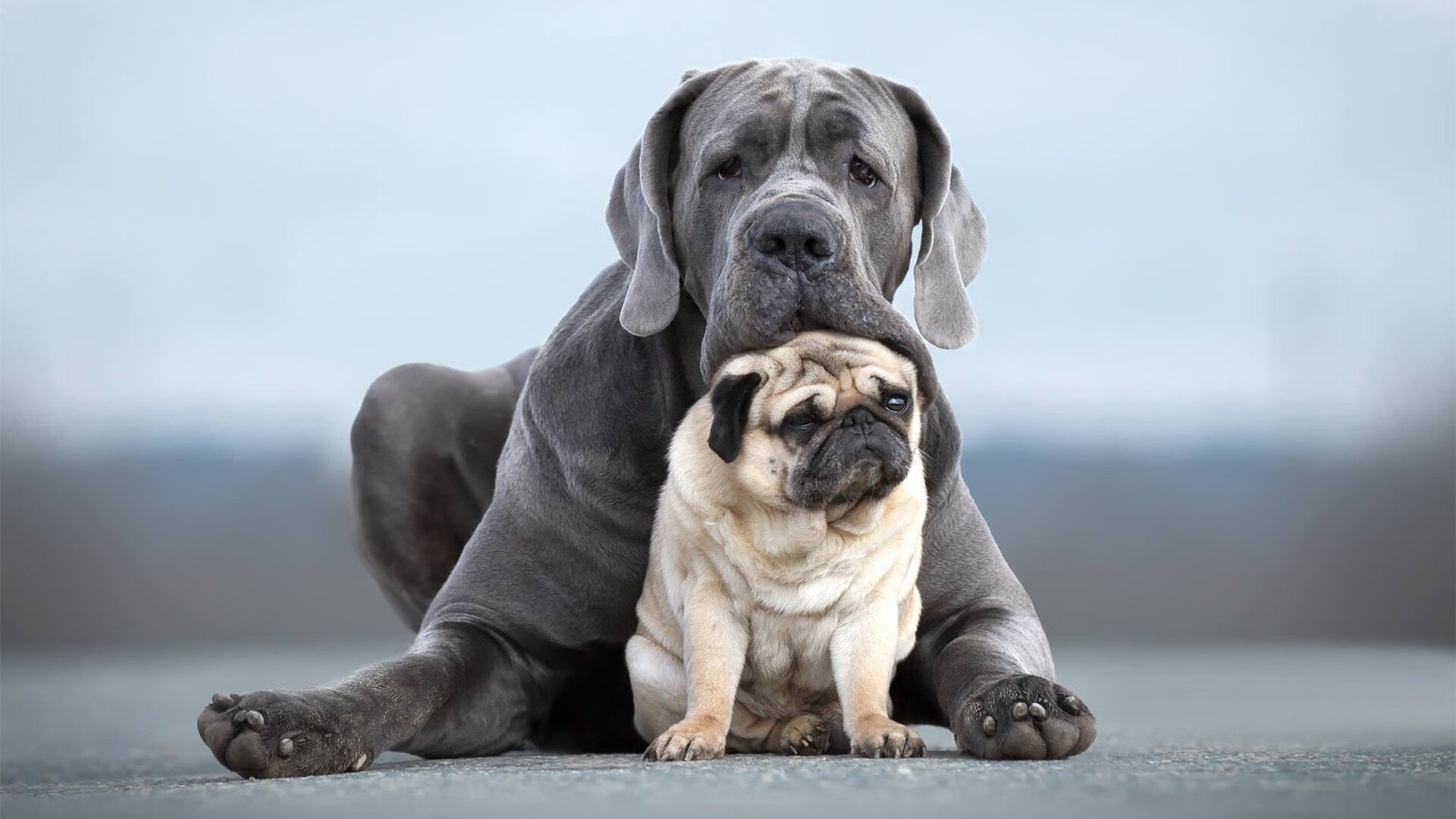 “法甲豪门持续发力,积分被追赶压力增加”,法甲豪门有哪些