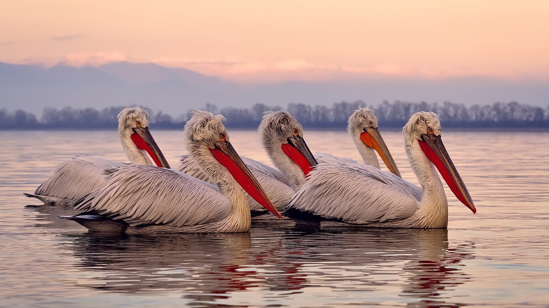 九游网页版入口-“足球文化讲座走进高校，激发青年足球热情”，足球文化进校园演讲稿