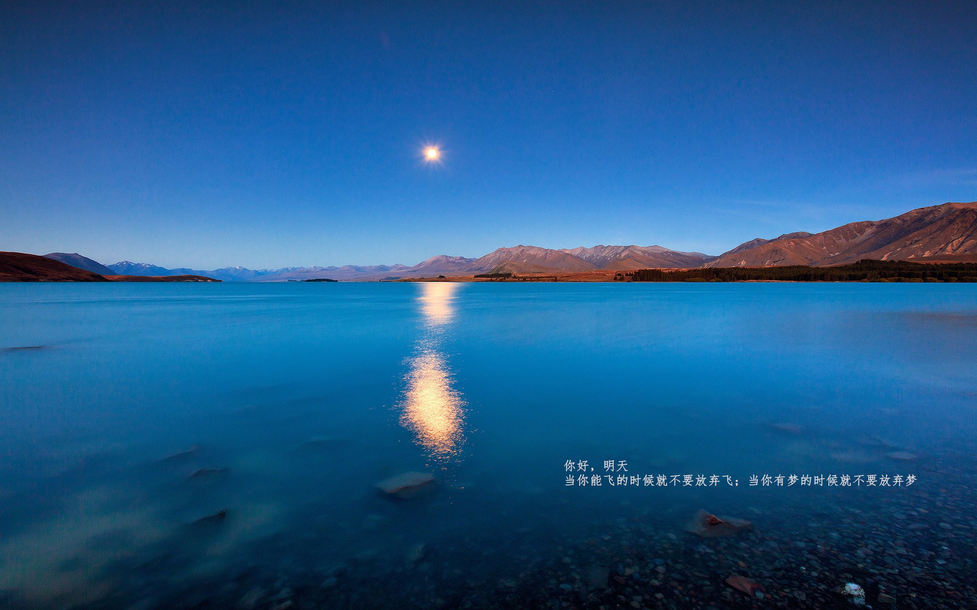 九游娱乐官网 (JIUYOU)-“青少年足球文化节带动青涩梦想，激励更多少年投身运动”，青少年足球秀节目有哪些