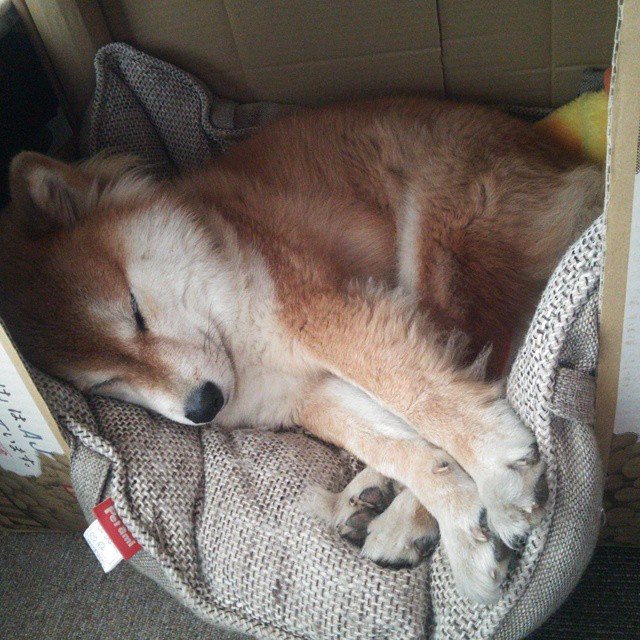 《Ning：新星崛起，成为LOL中场战术核心》