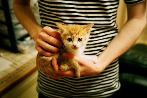 《虚拟主播助阵：电竞比赛中的新宠儿》，虚拟主播bw