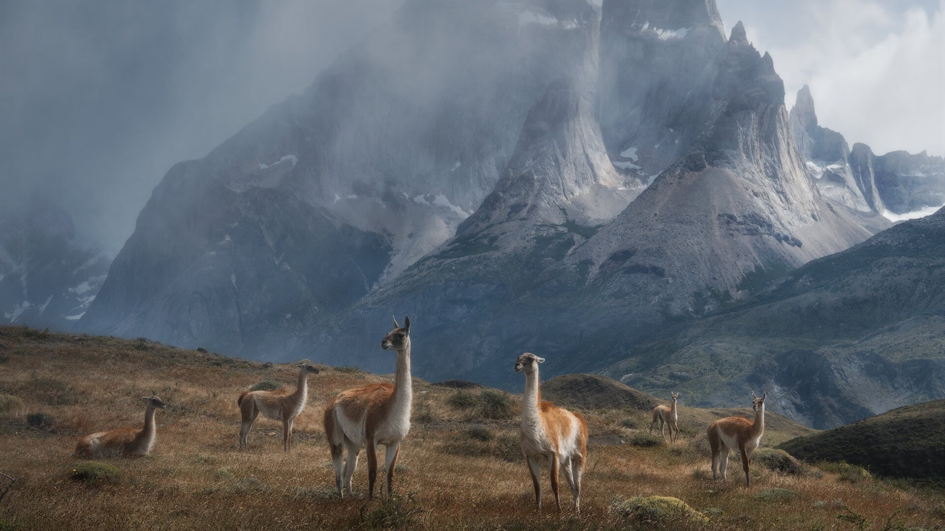 JIU YOU GAME-【名将话题】马克·塞尔比：我如何利用防守赢得比赛，马克塞尔比的球杆