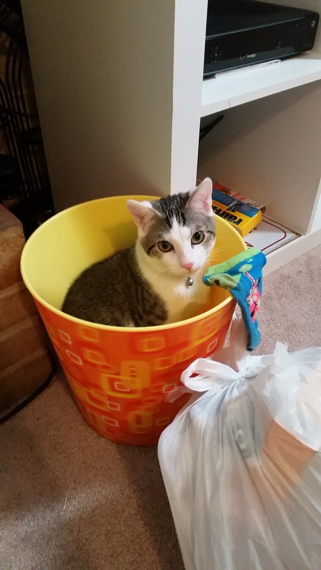 【规则争议】裁决引发争议的关键点解析,裁决规程