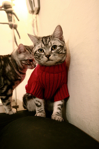 世界水上摩托冠军赛,极速漂移展现极限速度,水上摩托比赛