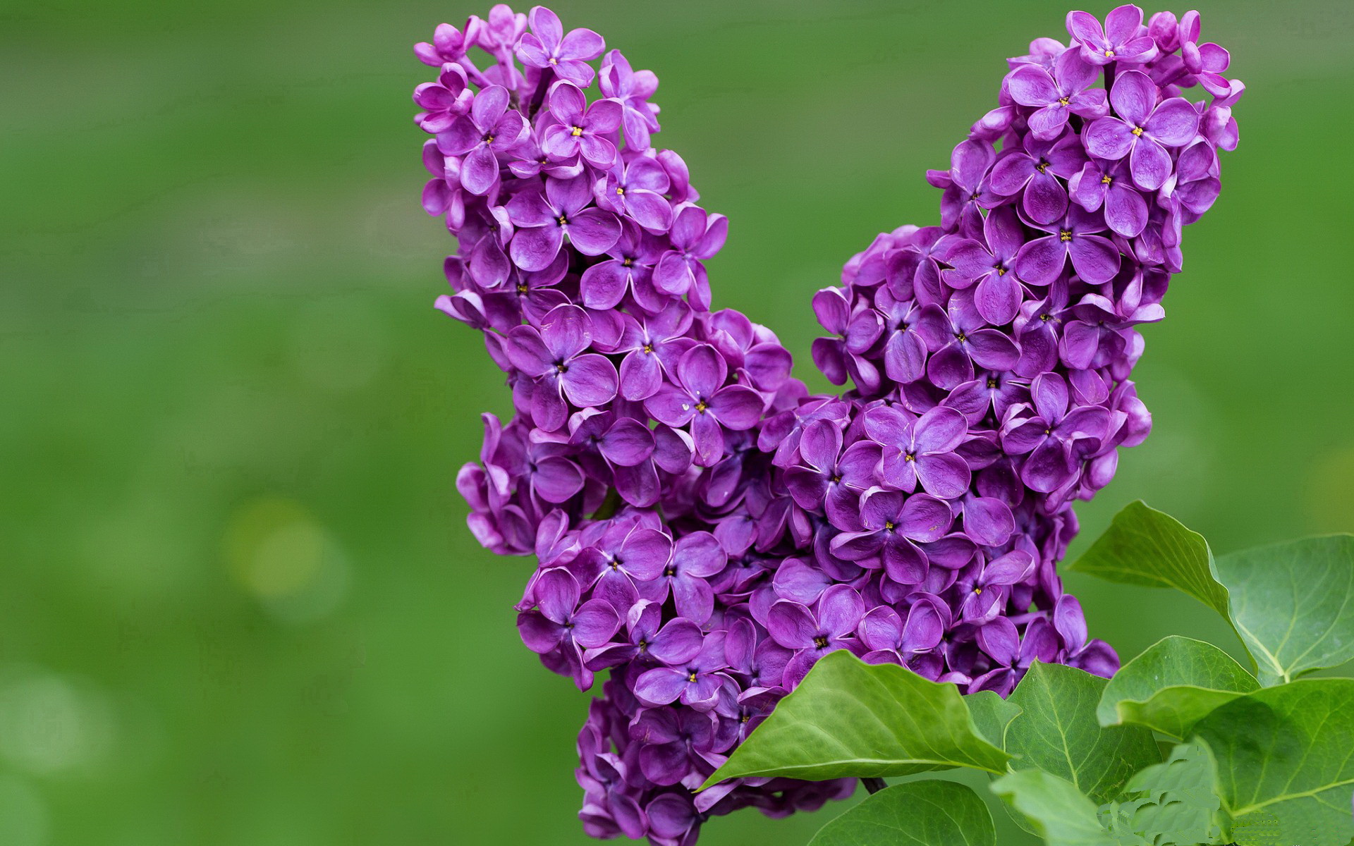 中国职业联赛决策体系不断完善,行业治理逐步提升,职业联赛比赛规则