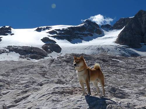中国职业足球队伍国际交流赛成绩喜人,我国职业足球联赛