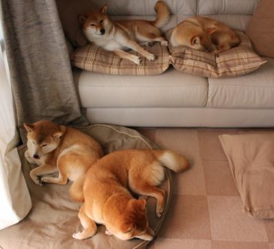 历史性赛道重游：经典场景再现，历史性里程碑是指什么