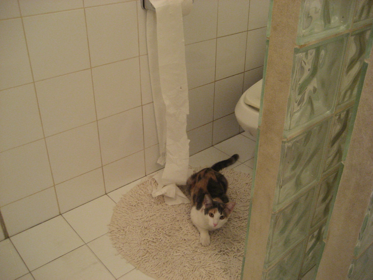 历史性赛道重游：经典场景再现，历史性里程碑是指什么