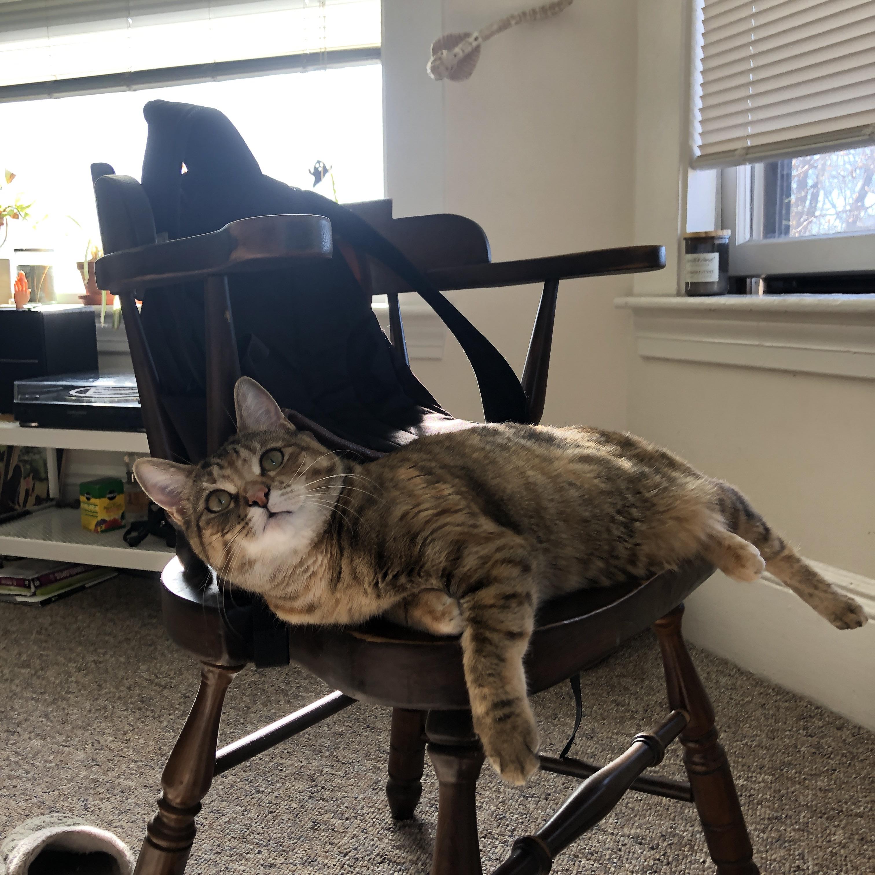 九游下载安装-品牌授权合作推动中国特色体育产业多元化发展，体育品牌文化